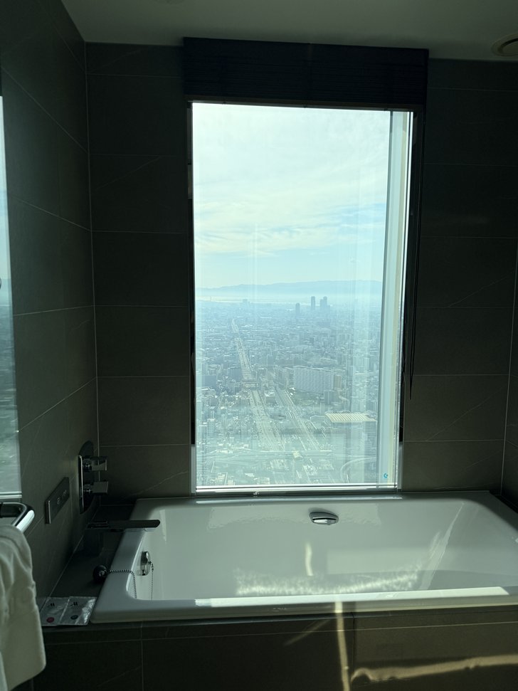 大きな窓から街を望む浴室のバスタブ