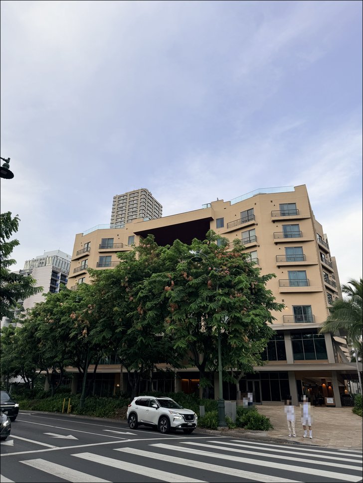 並木とベージュの建物、横断歩道と白いSUV