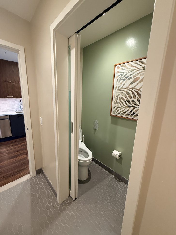 引き戸の先にある緑の壁のトイレと壁掛けアート